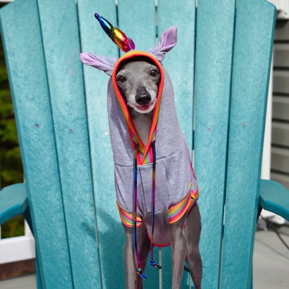 "Unconditional Love" Unicorn Pride Hoodie